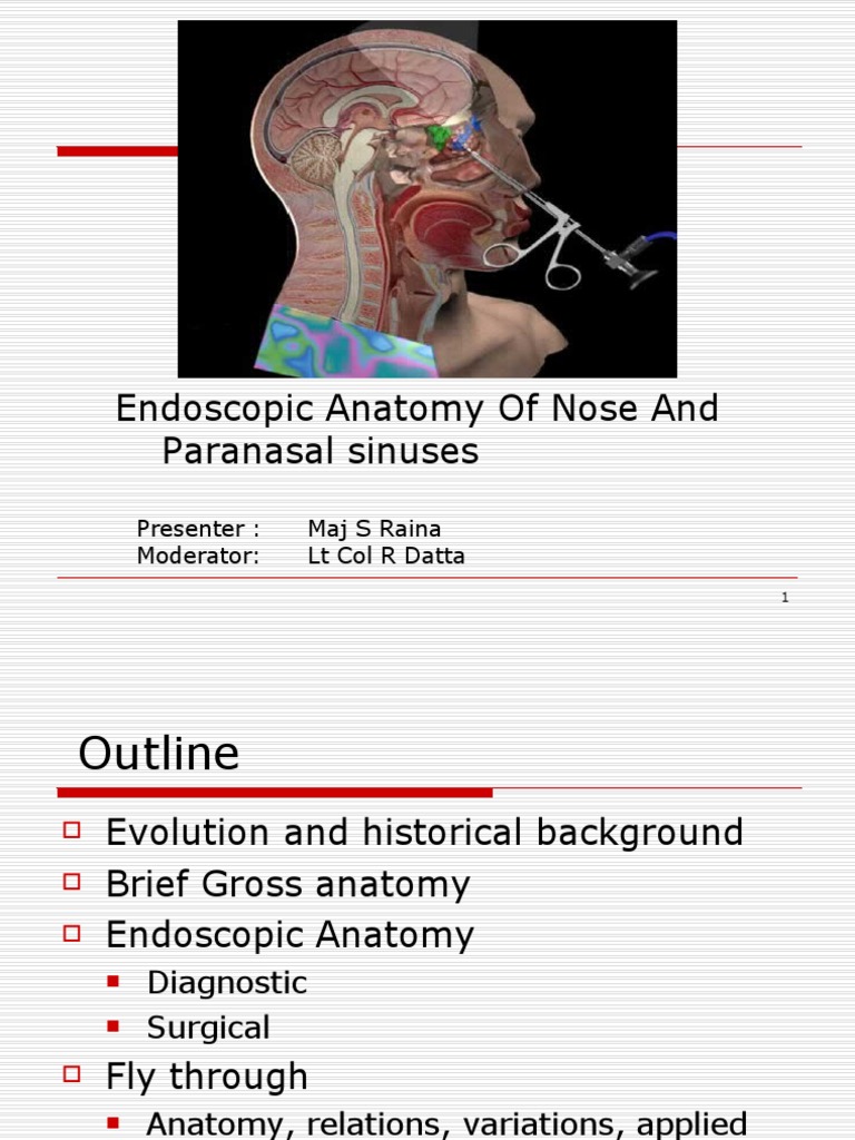 Endoscopic Anatomy of Nose & Sinuses | PDF | Human Nose | Skeletal System