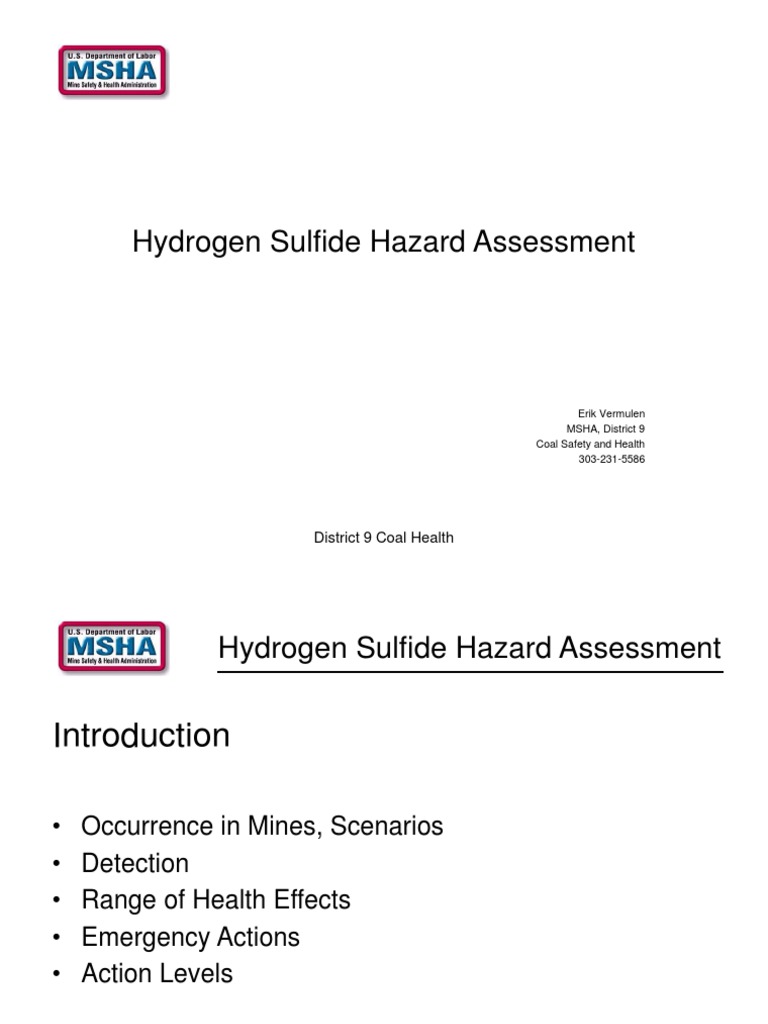 Hydrogen Sulfide Hazard Assessment Guide | PDF | Safety | Occupational ...