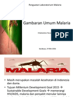 Gambaran Umum Malaria