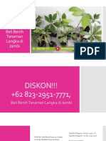 DISKON!!! +62 823-2951-7771, Beli Benih Tanaman Langka Di Jambi