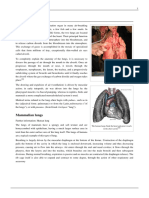 theory of lung.pdf