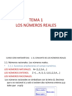 reales.pdf