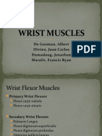 Wrist Muscles: de Guzman, Albert Divino, Juan Carlos Dumadaug, Jonathan Maralit, Francis Ryan