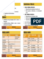 Mineralogy Classifications of Minerals