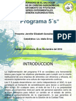 Programa 5 S