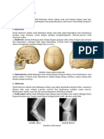 Anatomi Persendian PBL Muskulo 1 2018