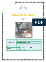 LAB METALURGICO_flotacion.pdf