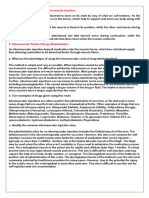 Differentiate Muscle Origin From Muscle Insertion