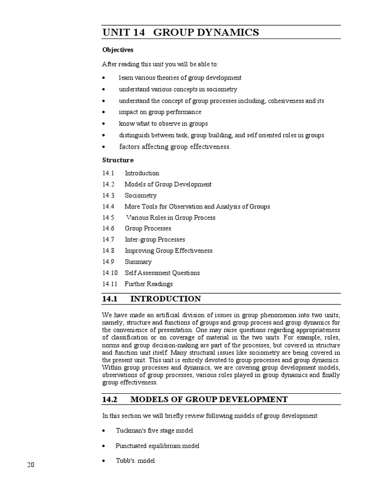 Group Dynamics - GW | PDF | Social Network | Group Cohesiveness