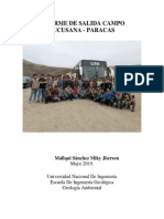 Informe de salida campo Pucusana - Paracas: discordancias, erosión y potencial petrolero