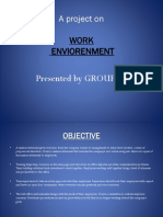 Work Environment Project