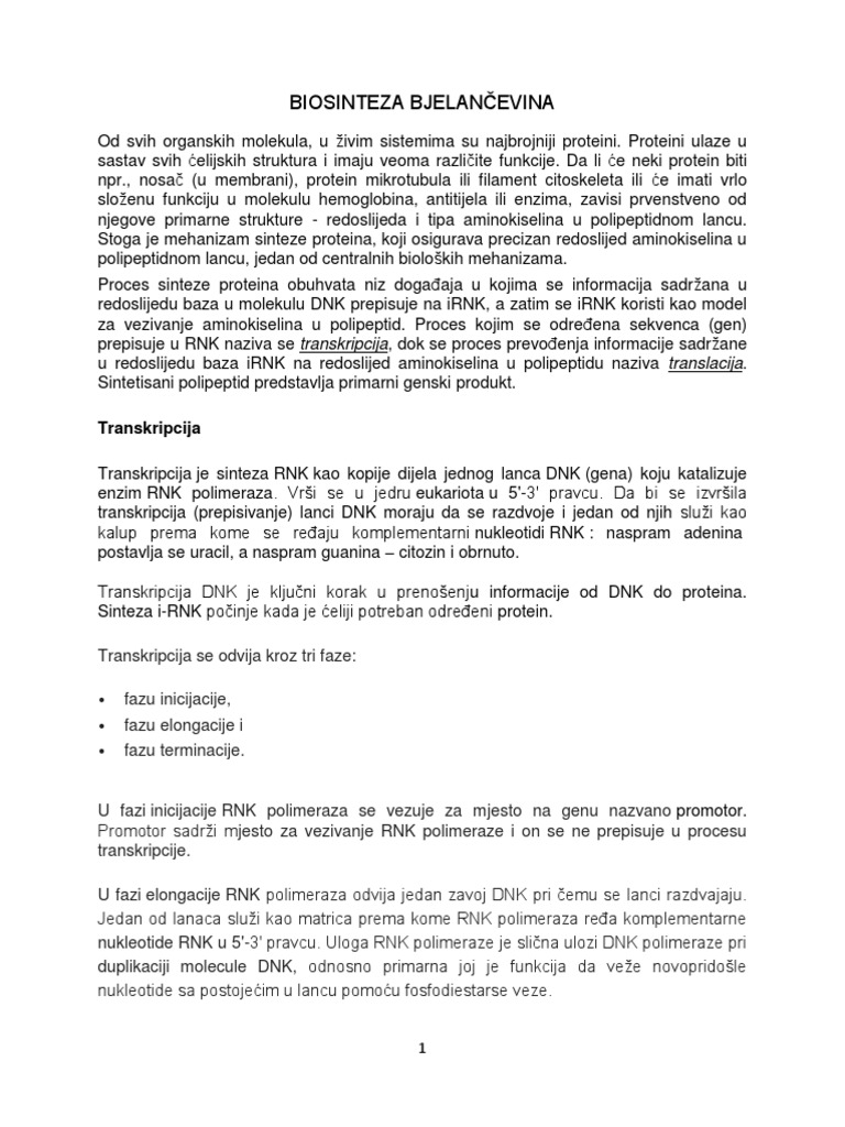 BIOSINTEZA BJELANCEVINA-transkripcija I Translacija | PDF