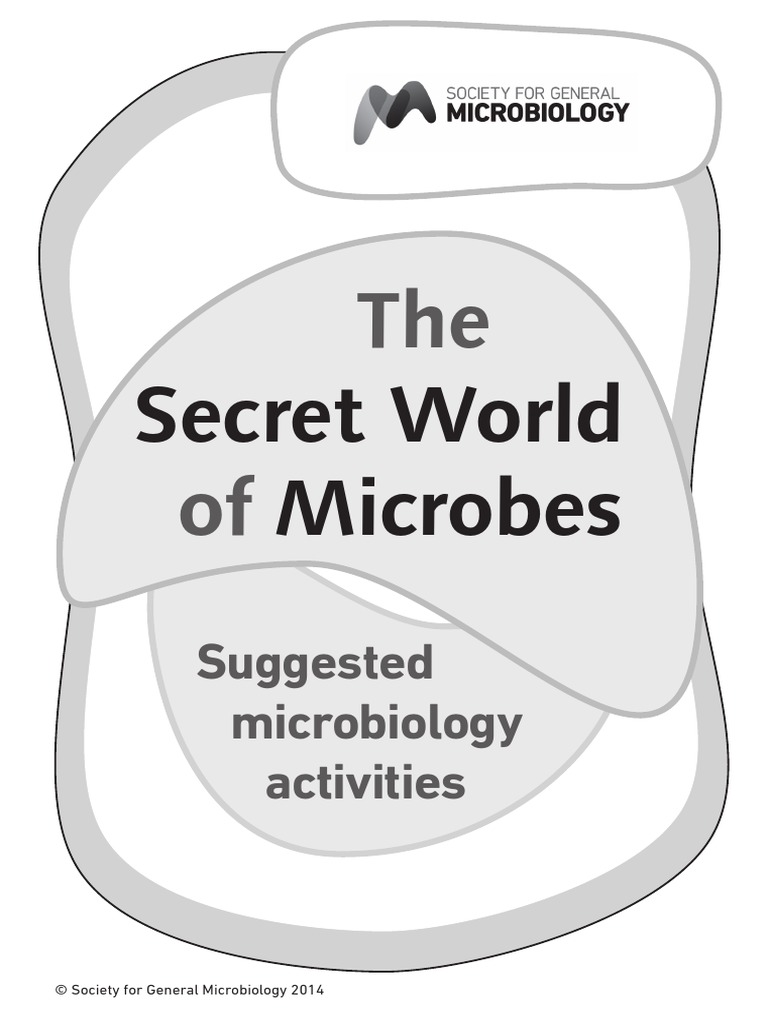 The Of: Secret World Microbes | PDF | Yeast | Dough