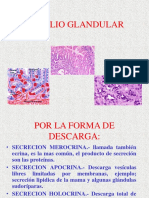 Tejido Glandular