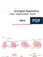 Brachial app 2.ppt