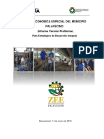 Ultimo Informe Version Preliminar Zee Palavecino 30-04-2019