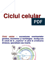 Ciclul celular.pptx