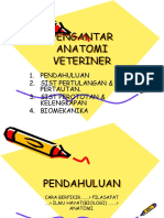 1.pengantar Anatomi Veteriner 1