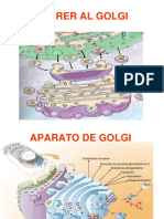 Sistemas Membranosos 2