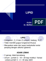 Lipid: Oleh: Dr. Mursalin