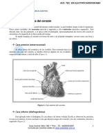 Configuracion Externa Corazon