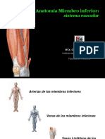 Vascular MMII PDF