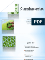 CIANOBACTERIAS