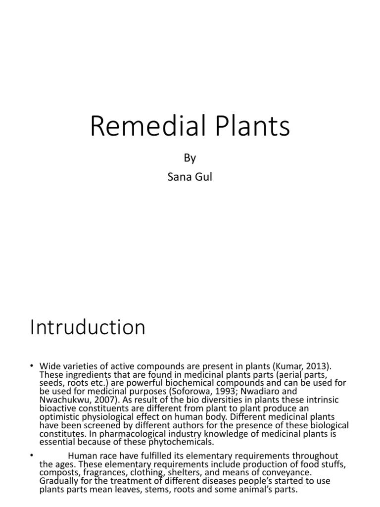 Medicinal Plants: A Comprehensive Review of Their Healing Properties ...