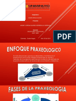 enfoque praxeologico.pptx