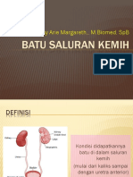 BATU SALURAN KEMIH.pptx