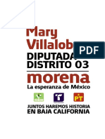 mary villalobos camiseta.pdf