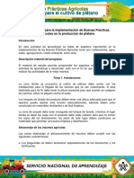 Material - 2 Platano PDF