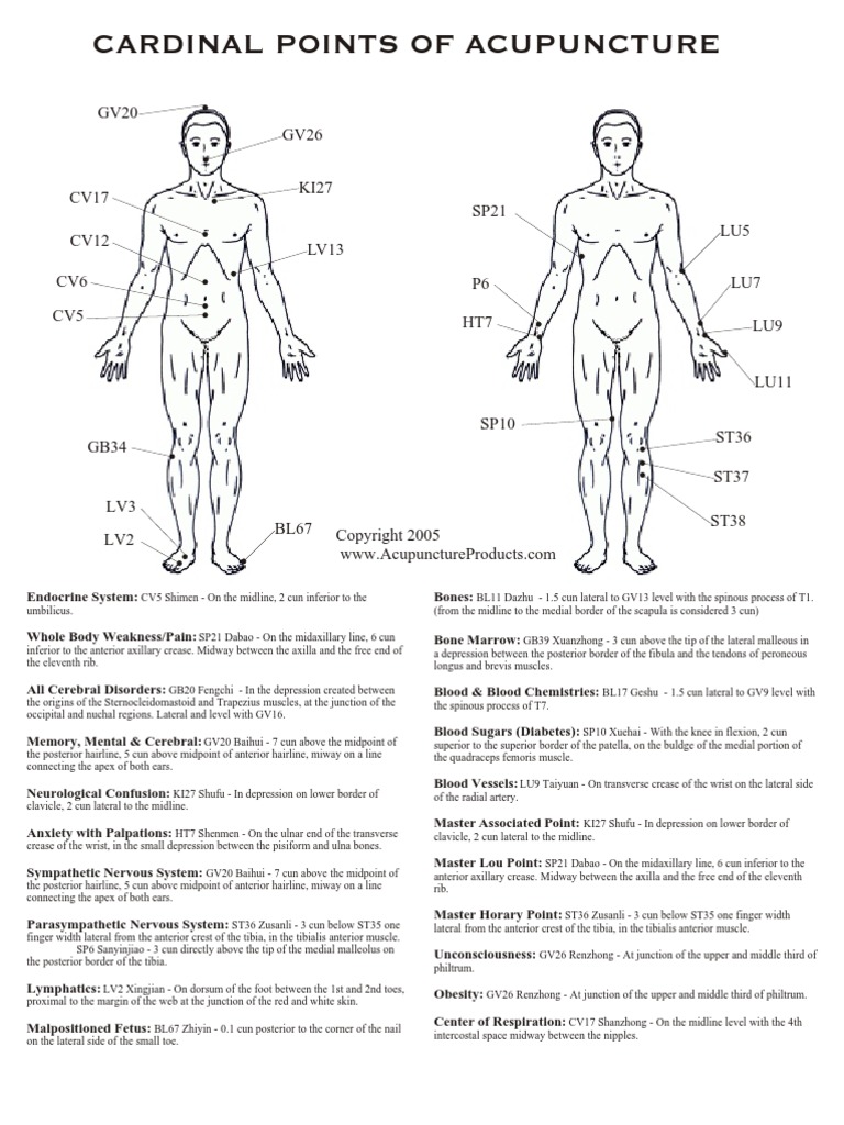 Cardinal Points | PDF | Anatomical Terms Of Location | Human Anatomy