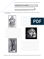 Examen virtual de la historia de Chavín