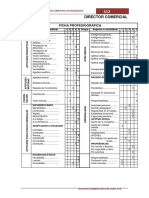 Director Comercial: Elaboración de Documentos Avanzados