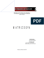 Matriz Dofa.pdf