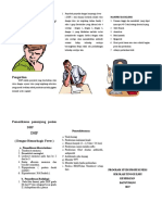 leaflet DHF.doc