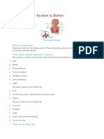 He Respiratory System in Babies