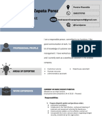 Curriculum Vitae Format