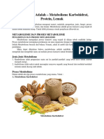 Metabolisme AdalahS1