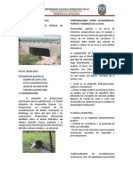 RESUMEN-EJECUTIVO-FINAL-SEGUNDO-TRABAJO-DE-INVESTIGACIÓN.pdf
