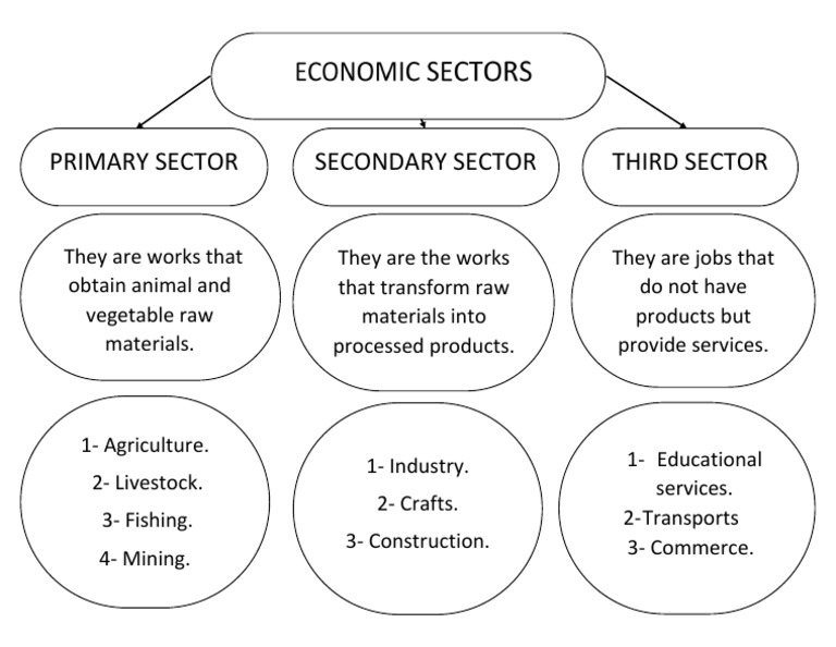 primary-sector-secondary-sector-third-sector-pdf