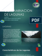 Contaminacion de Lagunass