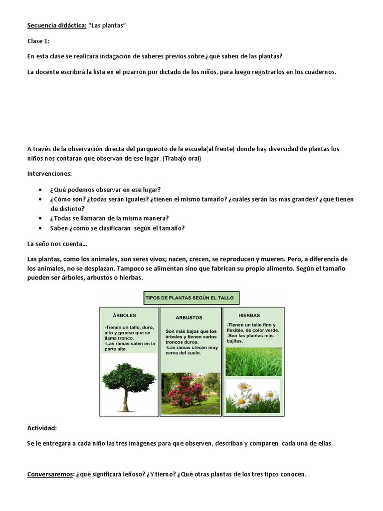 Secuencia Didáctica Las Plantas y Sus Partes 1 Año | PDF | Tallo de la ...
