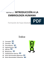 Embriologia Humana