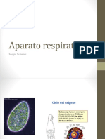 Aparato Respiratorio SC PDF