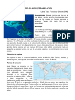 Jurel Blanco PDF