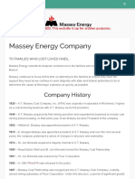 Massey Energy Company Profile