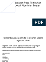 Perkembangbiakan Pada Tumbuhan Secara Vegetatif Alami Dan Buatan