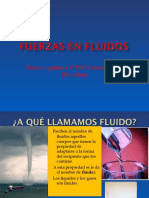fluidos-110919133719-phpapp01.pdf